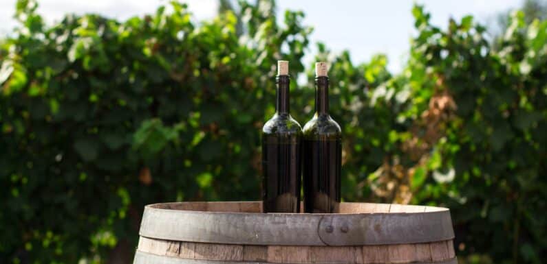 Can Alcohol-Free Wines Stand Up To Their Alcoholic Counterparts? A Taste Comparison